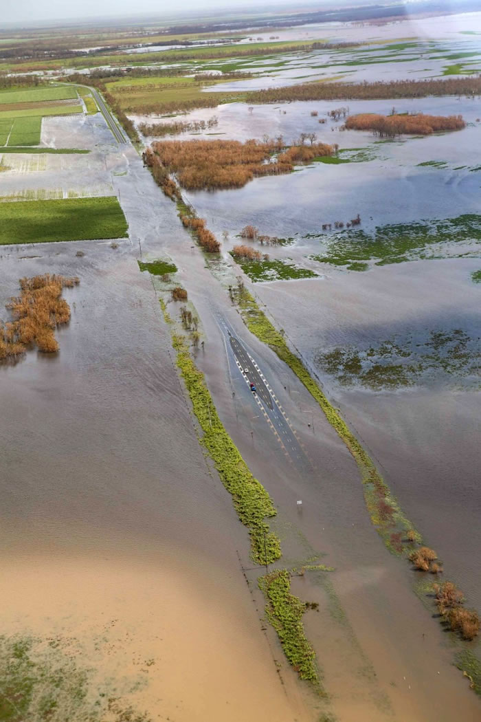 当局警告蛇及鳄鱼或会随泛滥海水冲上岸。