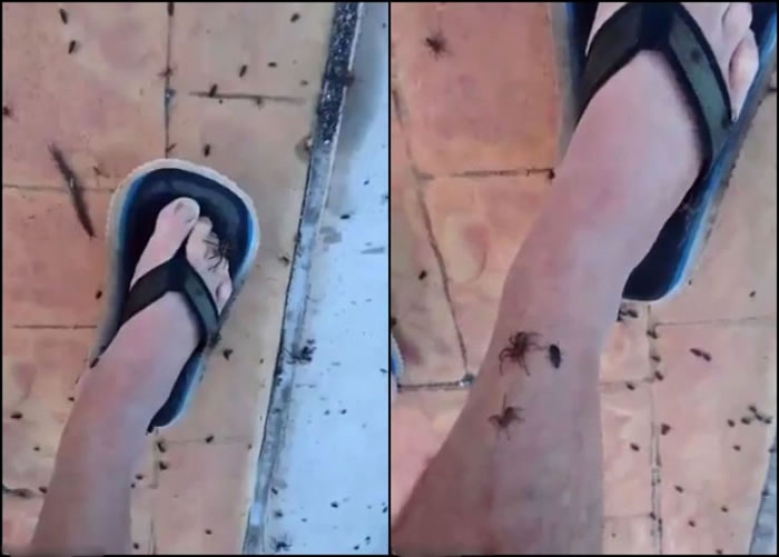 �����񱻡����ѡ������������ϡ�