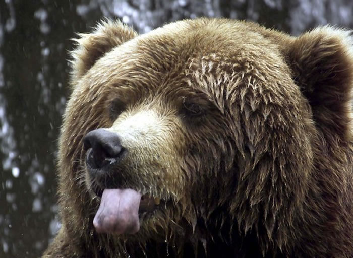 ͳշϳ˹ӵԽ ʳ߿ơƻ