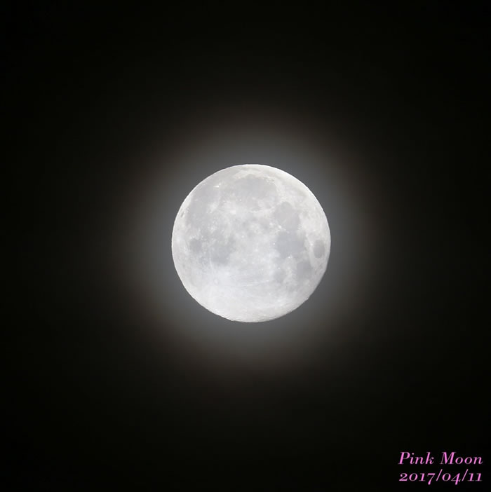 「樱花粉月」现身日本 (图/翻摄于twitter @eos40is)