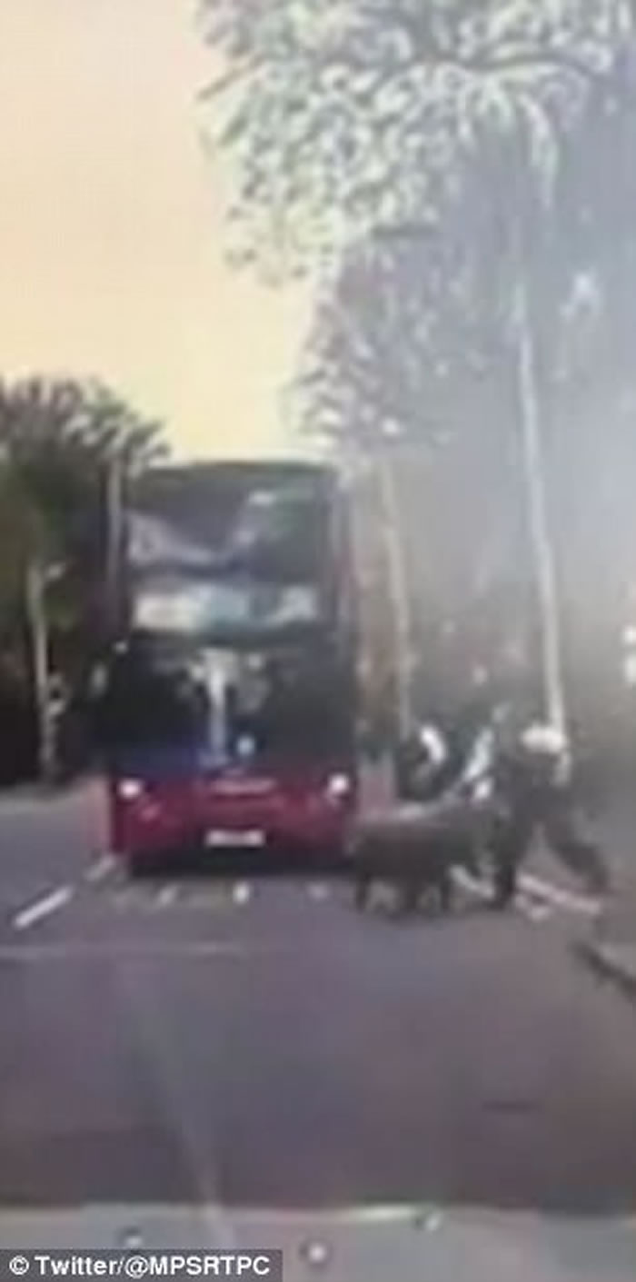 Ӣ���׶ؽ�ͷ������ �ܲ�������Щ��ӭ��ײ��