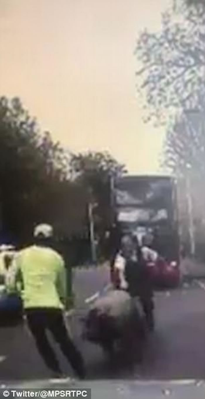 Ӣ���׶ؽ�ͷ������ �ܲ�������Щ��ӭ��ײ��