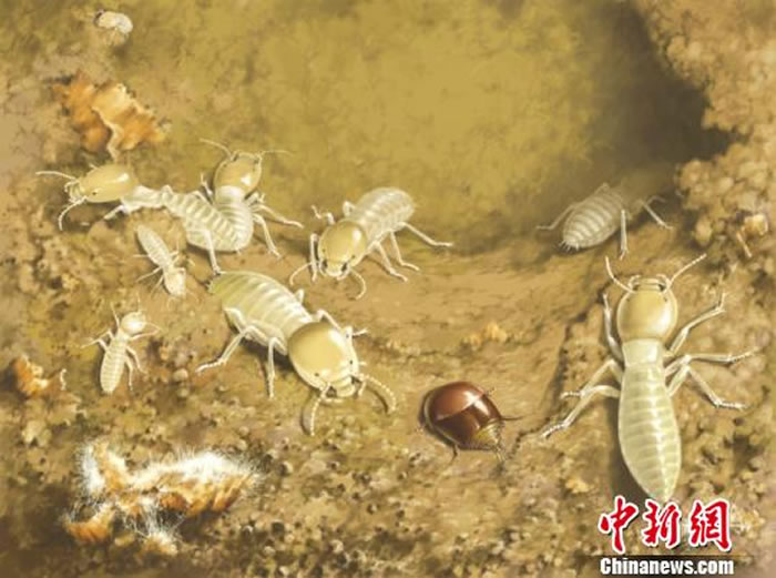 ���Ѽ��G�͵���̬��ԭͼ