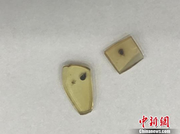 �˴��о��İ��Ѽ����ꡣ�����к�ɫ����Ϊ�G�͡�