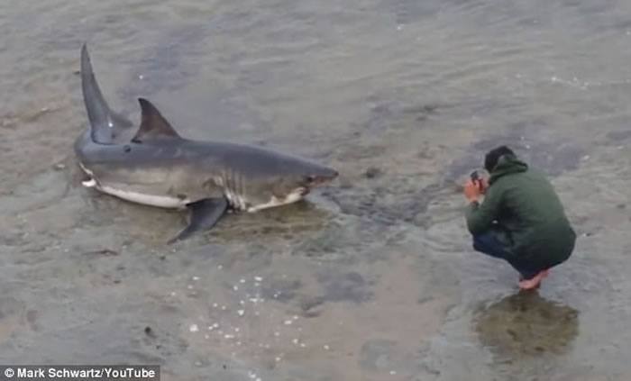 ������ڰ���ʹ������Ť����