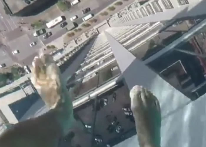 Ӿ�Ϳ���������ص��µľ���