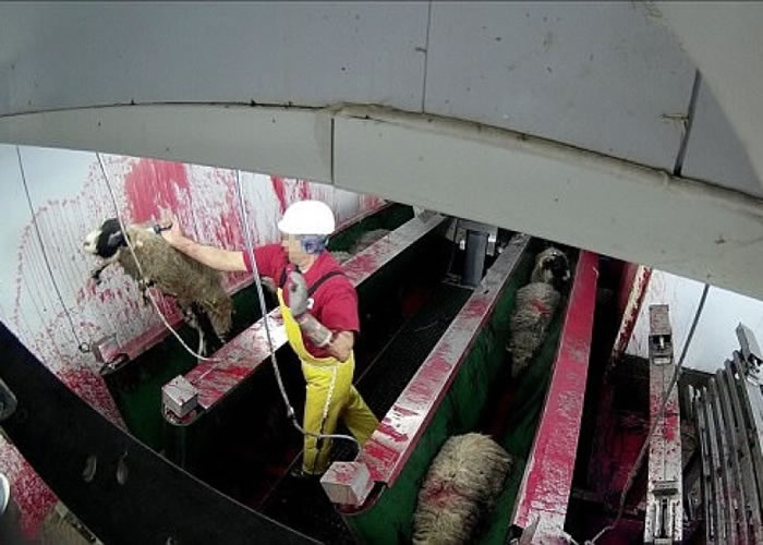 ����Ա�������������ٰ����Ƕ������ʹ���