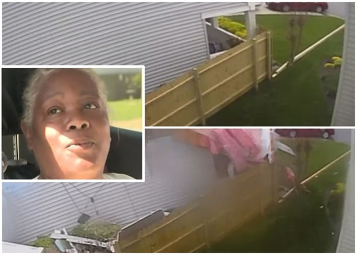 ���꣨Сͼ������������������������Ŀȫ�ǡ�