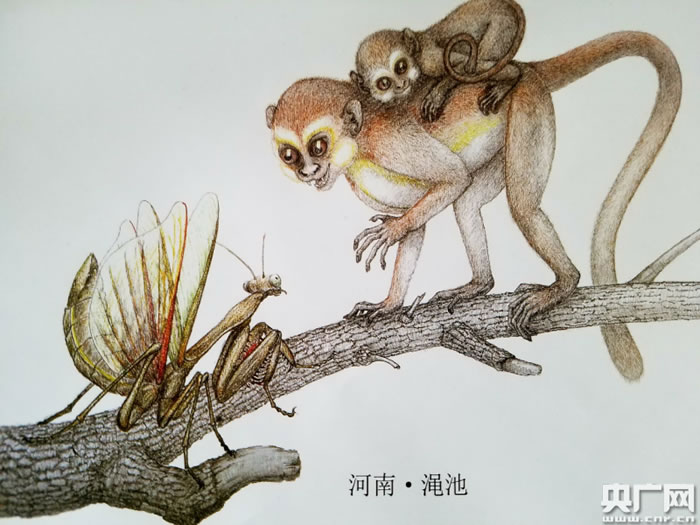 中国科学家公布曙猿复原图 渑池上河曙猿遗址获立碑保护