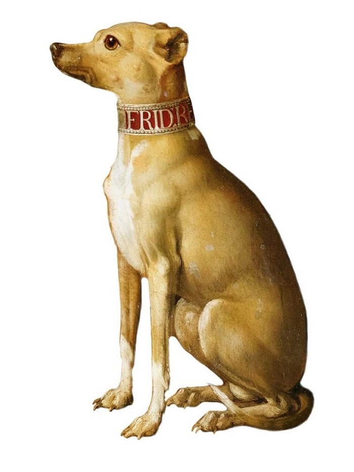 �����Ұ�Ȯ�ɳգ���˵�����ȳ�����һֻ��������ȮΪ��������õ����ѡ�������ƺ����������һ��1789��Ĵ��ǣ���ʱ���Ѿ���������������Ҫ���������ǹ����������Ĺ���