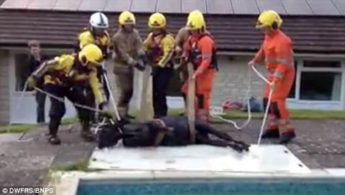 Ӣ�������ؿ��ڿ�ţҹ�������԰����Ӿ��