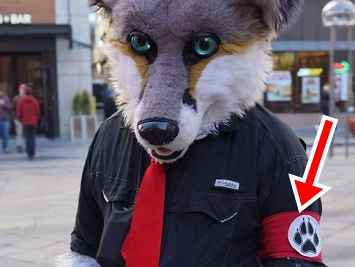 有指福克斯拉(图)戴上类似纳粹的袖章(红箭示)。