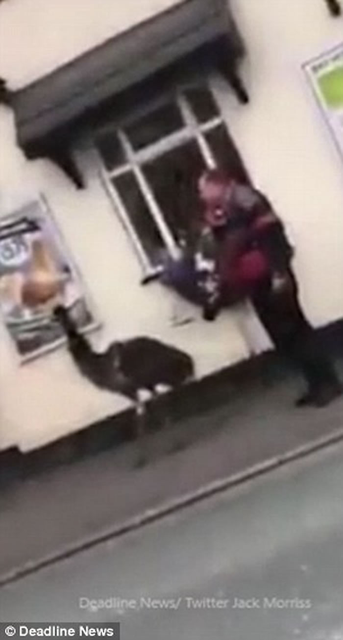 Ӣ�����������ڴ��������ŵ����� �ֿ���̸������ϧ