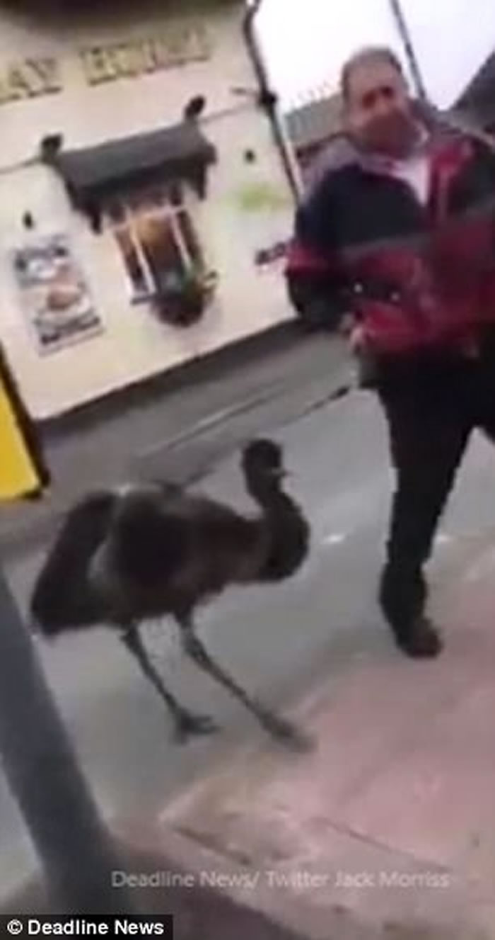 Ӣ�����������ڴ��������ŵ����� �ֿ���̸������ϧ