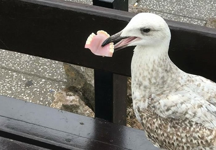 ˭���˼���������ֻ��Ÿ����