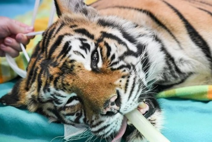 ����ǰ������������һ���п��ܱ����ȫʧ����