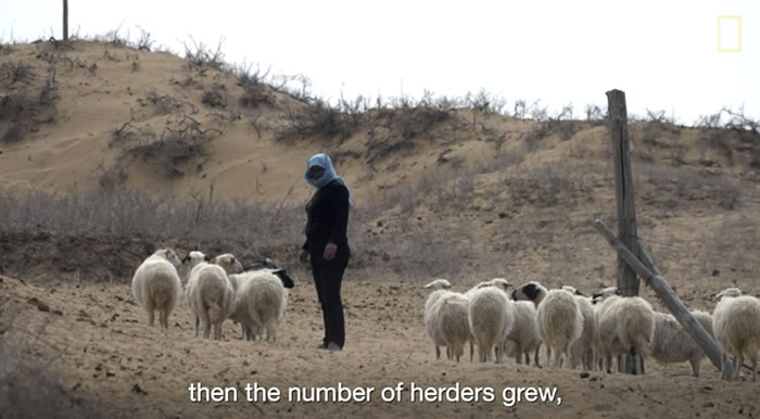 �й�����ɫ���ǡ��Կ�ɳĮ���� Ŭ���ɹ��û��ΰ�