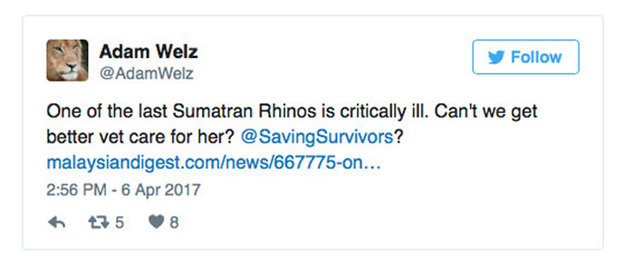 ���ҵ���Ƶ����ʾ���Ķ����Ļ�ȣ�Ӧ�ù鹦���罻ý�����������ͼ��������ΰ�ȵ�Twitter��