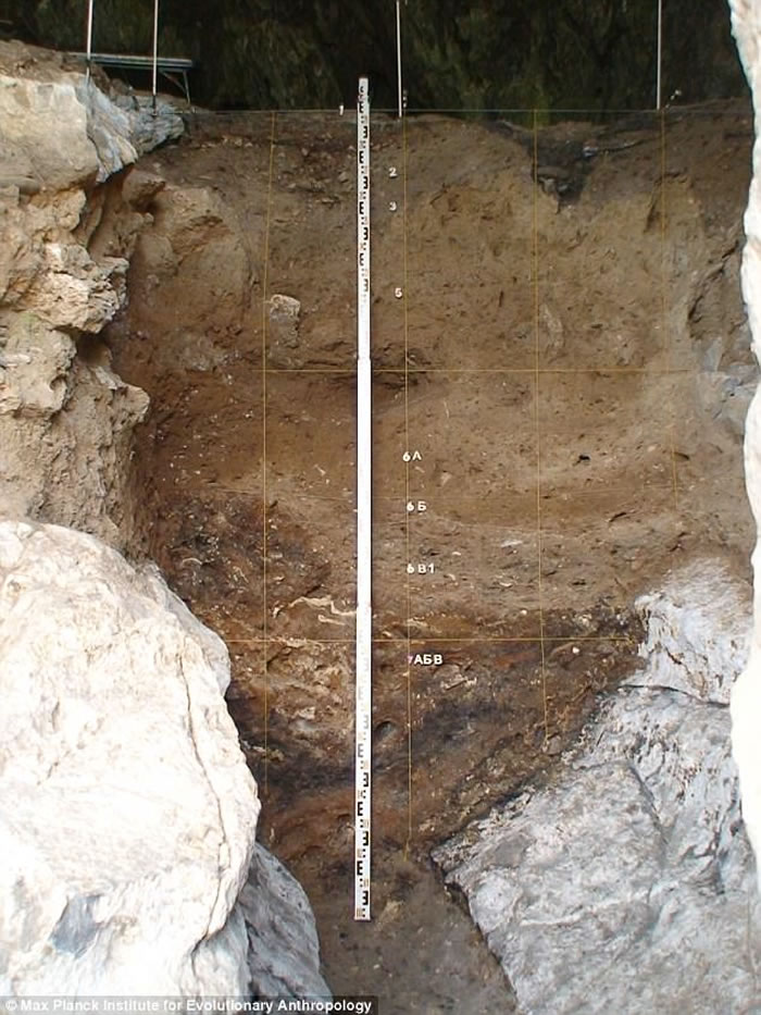俄罗斯沙格斯卡娅洞穴概况，从中收集沉积物样本进行遗传分析。