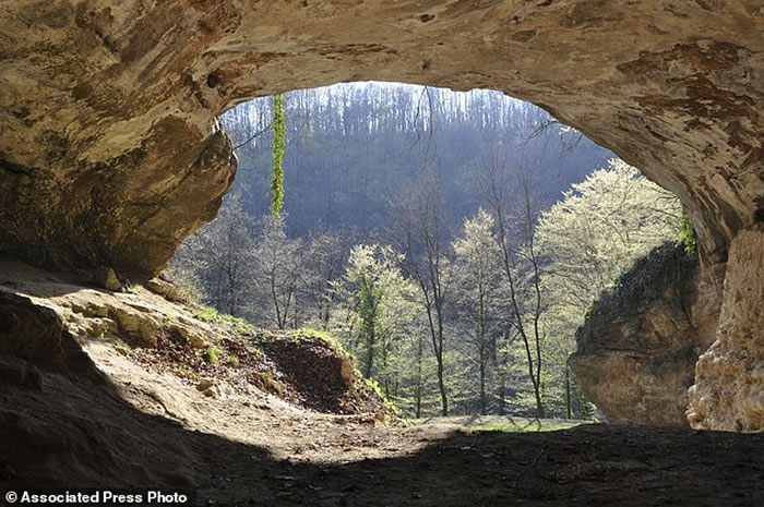 研究人员挖掘了比利时，克罗埃西亚，法国，俄罗斯和西班牙七个考古遗址。 图为克罗地亚Vindija Cave考古遗址的入口。