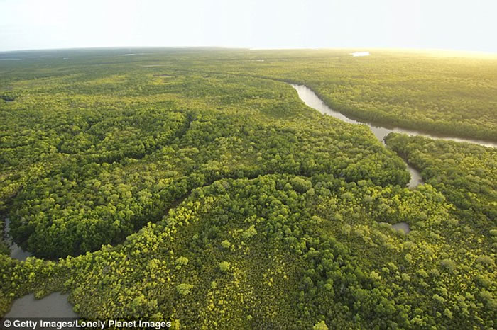 澳洲内陆袋狼的世纪之谜:发现“塔斯马尼亚虎”毛发?