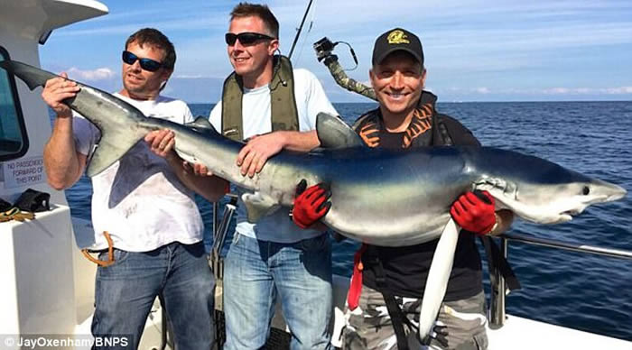 作为一名专业的钓客,杰伊还曾钓到过2条蓝鲨。