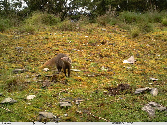 ��ɽ���ҹ�԰�Ϻ�������Զ�������㵽��ʳз�B����ͼ����ɽ��ѧ��ѧ����ʦʵ�����ṩ��