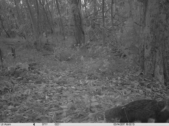 ��������ɽ�����ɽ��Ȼ����԰����ʳз�B����ͼ����ɽ��ѧ��ѧ����ʦʵ�����ṩ��