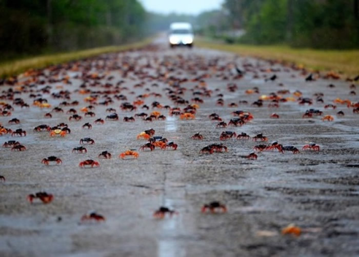 ����·�౻�зռ�ݡ�