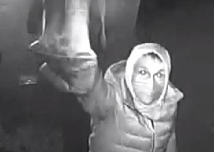 Ӣ��͵�����·���͵�� ��Կ�׷�������͵