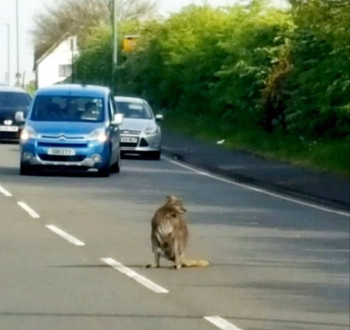 �����̼��ܵ���·�ϣ��������������ϣ�