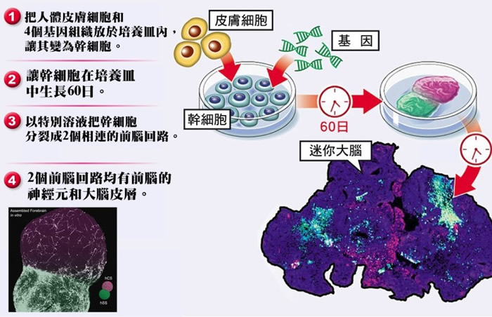 科学家形容今次的研究为“惊心动魄的科学”。