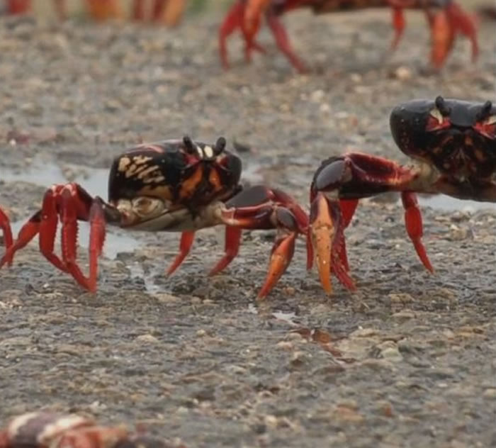 �ŰͰ���ȫ���з��