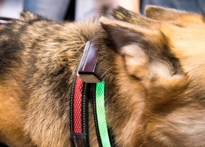 ���ܾ�Ȧ�ù����˽⹷�����顣