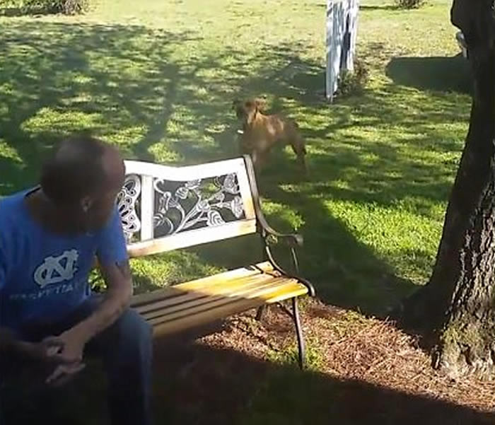 ��Ϊ�󲡱��������������� ��������ƾ��ζ����