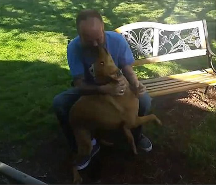 ��Ϊ�󲡱��������������� ��������ƾ��ζ����