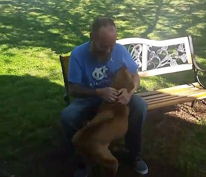 ��Ϊ�󲡱��������������� ��������ƾ��ζ����