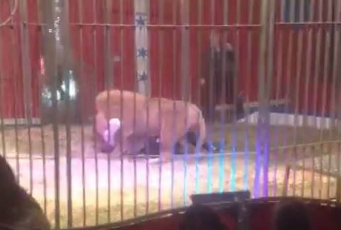 Ϸűݷ⣺ѱʦʨӹͬݳʱʨӹ