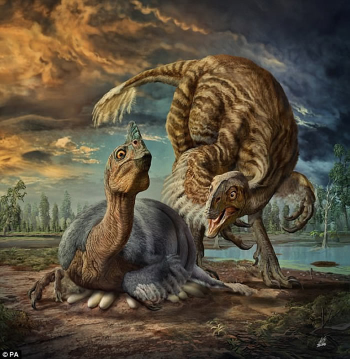 河南省地质博物馆镇馆之宝的巨型窃蛋龙类恐龙“路易贝贝”正式命名为中华贝贝龙