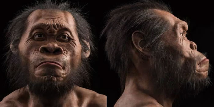 21ͷֵʯȫ¹ࡰˡHomo naledi