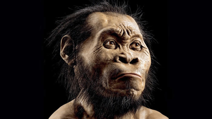 21ͷֵʯȫ¹ࡰˡHomo naledi