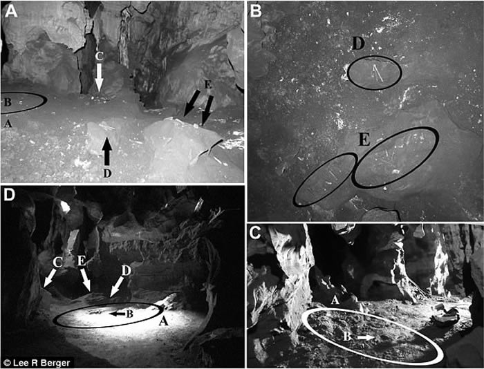 21ͷֵʯȫ¹ࡰˡHomo naledi