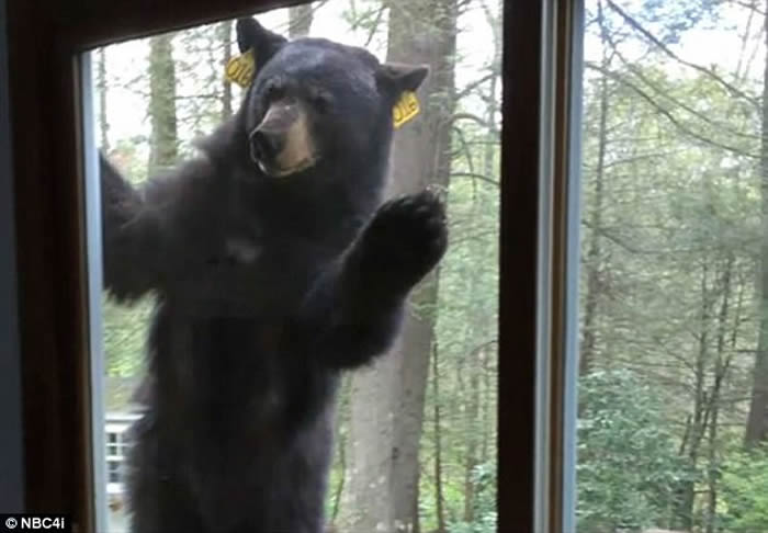 �������˵ҿ��ݸ����ڼҿ��������ɿ������� ̧��ͷ���ִ����ſ�ڴ���������ˮ