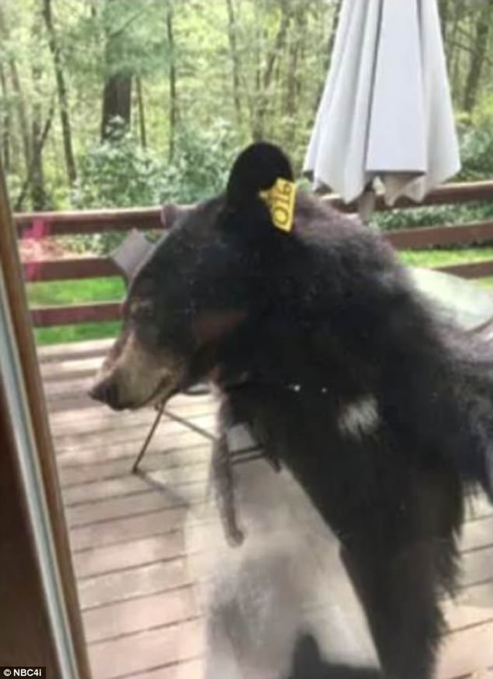 �������˵ҿ��ݸ����ڼҿ��������ɿ������� ̧��ͷ���ִ����ſ�ڴ���������ˮ