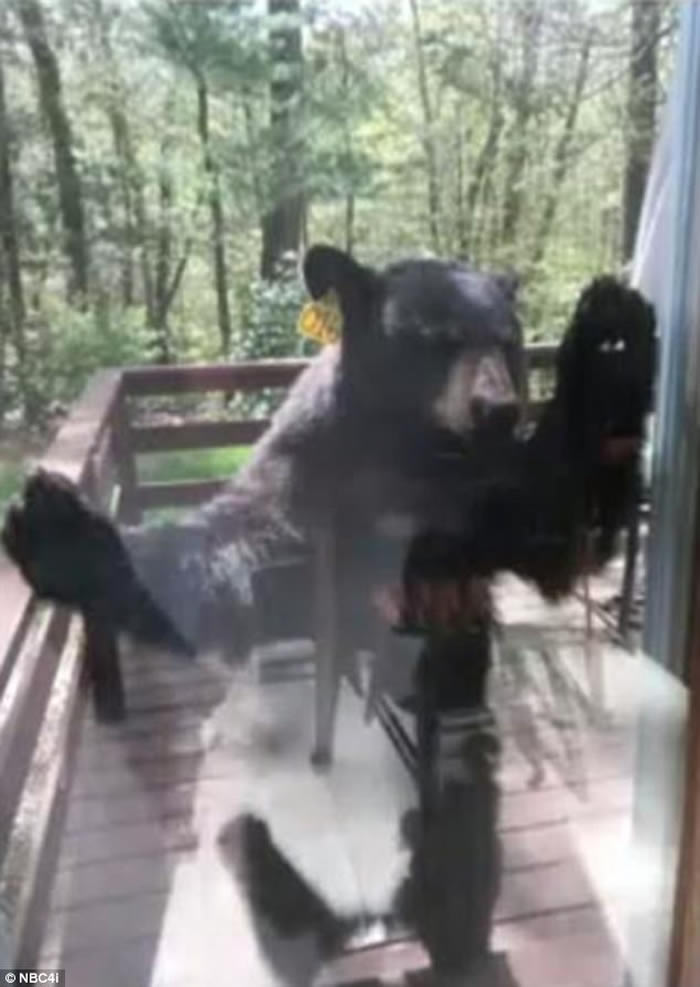 �������˵ҿ��ݸ����ڼҿ��������ɿ������� ̧��ͷ���ִ����ſ�ڴ���������ˮ