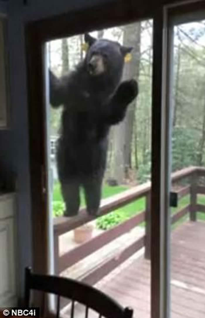 �������˵ҿ��ݸ����ڼҿ��������ɿ������� ̧��ͷ���ִ����ſ�ڴ���������ˮ