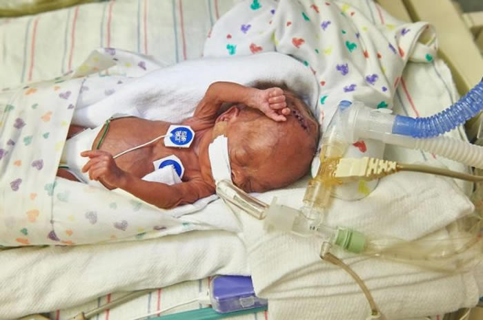 ������ÿ��Լ��������Ӥ������ʱ����26���� / PHOTOGRAPH BY ED CUNICELLI