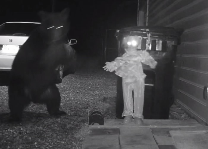 ������������Ͱ����ʳ�