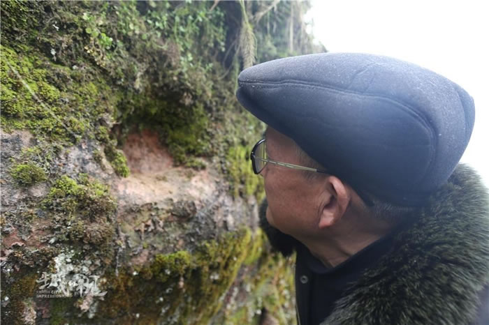 重庆七旬“护龙大爷”龚明远:守护白垩纪恐龙化石群十余载