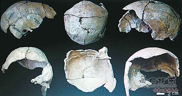 “泾川人”头骨化石